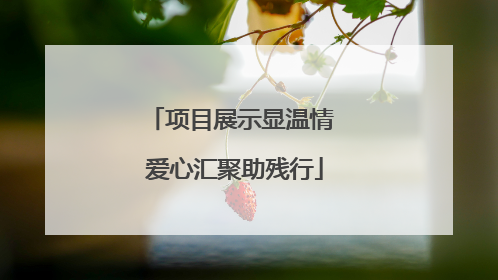 项目展示显温情 爱心汇聚助残行