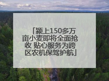 颍上150多万亩小麦即将全面抢收 贴心服务为跨区农机保驾护航