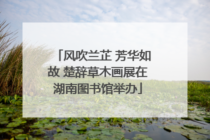 风吹兰芷 芳华如故 楚辞草木画展在湖南图书馆举办