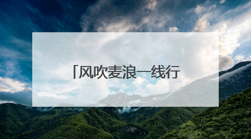 风吹麦浪一线行｜衡水冀州：开镰！科学种植 奏响丰收序曲