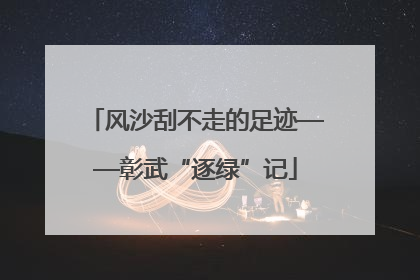 风沙刮不走的足迹——彰武“逐绿”记
