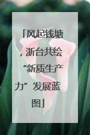 风起钱塘，浙台共绘“新质生产力”发展蓝图