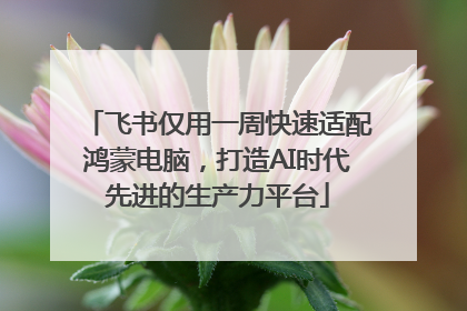 飞书仅用一周快速适配鸿蒙电脑，打造AI时代先进的生产力平台