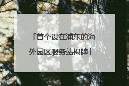 首个设在浦东的海外园区服务站揭牌