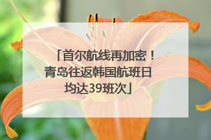 首尔航线再加密！青岛往返韩国航班日均达39班次