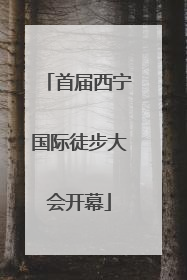 首届西宁国际徒步大会开幕