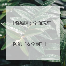 驿城区：全面筑牢防汛“安全网”