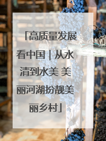 高质量发展看中国｜从水清到水美 美丽河湖扮靓美丽乡村