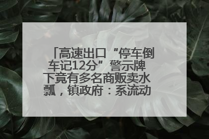 高速出口“停车倒车记12分”警示牌下竟有多名商贩卖水瓢，镇政府：系流动摊位，已多次劝离