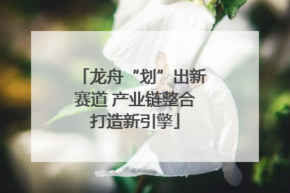 龙舟“划”出新赛道 产业链整合打造新引擎