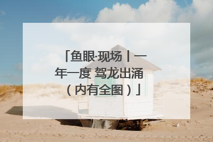 鱼眼·现场丨一年一度 驾龙出涌（内有全图）