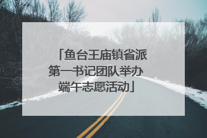 鱼台王庙镇省派第一书记团队举办端午志愿活动