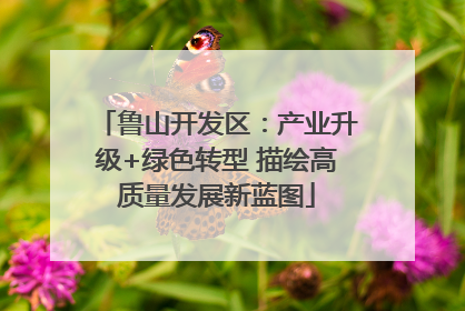 鲁山开发区：产业升级+绿色转型 描绘高质量发展新蓝图