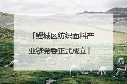 鲤城区纺织面料产业链党委正式成立