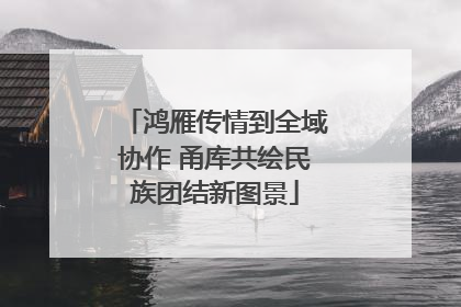 鸿雁传情到全域协作 甬库共绘民族团结新图景