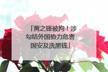 黄之锋被拘！涉勾结外国势力危害国安及洗黑钱