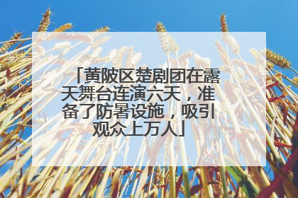 黄陂区楚剧团在露天舞台连演六天，准备了防暑设施，吸引观众上万人