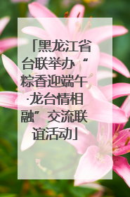 黑龙江省台联举办“粽香迎端午·龙台情相融”交流联谊活动