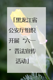 黑龙江省公安厅组织开展“六一”普法宣传活动