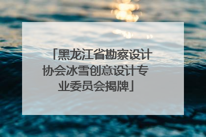 黑龙江省勘察设计协会冰雪创意设计专业委员会揭牌