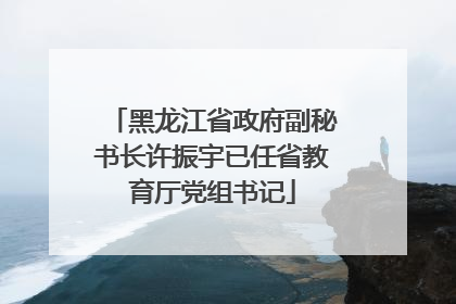 黑龙江省政府副秘书长许振宇已任省教育厅党组书记