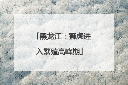 黑龙江：狮虎进入繁殖高峰期