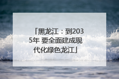 黑龙江：到2035年 要全面建成现代化绿色龙江