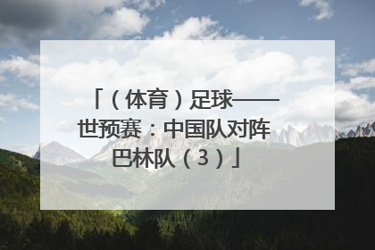 （体育）足球——世预赛：中国队对阵巴林队（3）