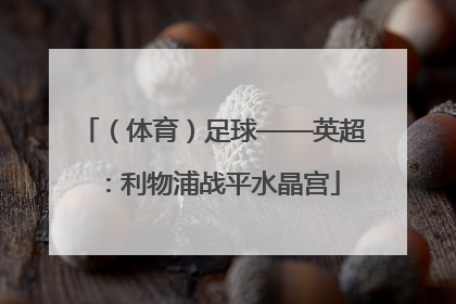 （体育）足球——英超：利物浦战平水晶宫