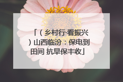 （乡村行·看振兴）山西临汾：保电到田间 抗旱保丰收