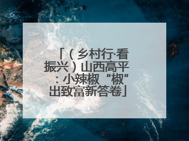 （乡村行·看振兴）山西高平：小辣椒“椒”出致富新答卷