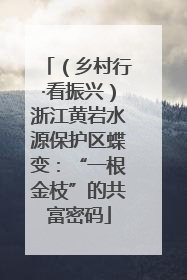 （乡村行·看振兴）浙江黄岩水源保护区蝶变：“一根金枝”的共富密码