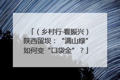 （乡村行·看振兴）陕西留坝：“满山绿”如何变“口袋金”？