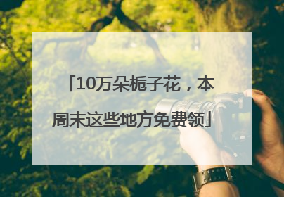 10万朵栀子花，本周末这些地方免费领