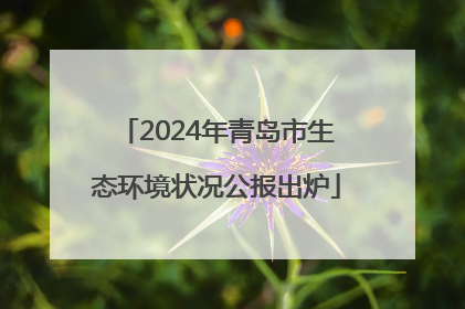 2024年青岛市生态环境状况公报出炉
