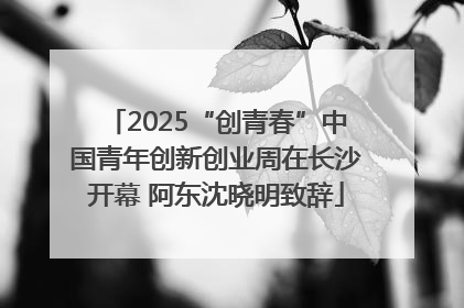 2025“创青春”中国青年创新创业周在长沙开幕 阿东沈晓明致辞