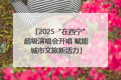 2025“在西宁”超级演唱会开唱 赋能城市文旅新活力