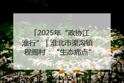 2025年“政协江淮行”｜淮北市渠沟镇程阁村：“生态痛点”变“生态景观”