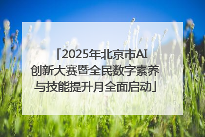 2025年北京市AI创新大赛暨全民数字素养与技能提升月全面启动