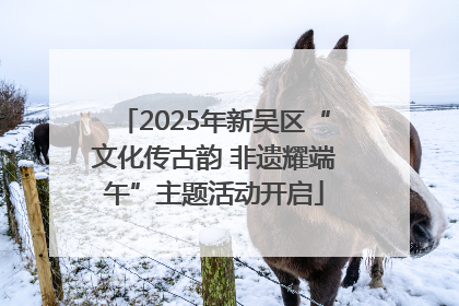 2025年新吴区“文化传古韵 非遗耀端午”主题活动开启