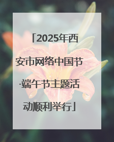 2025年西安市网络中国节·端午节主题活动顺利举行