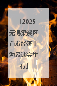 2025无锡梁溪区首发经济上海恳谈会举行
