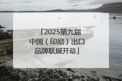 2025第九届中国（印尼）出口品牌联展开幕