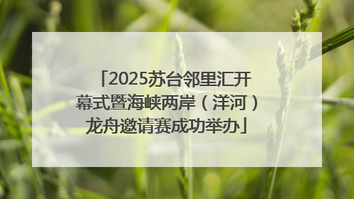 2025苏台邻里汇开幕式暨海峡两岸（洋河）龙舟邀请赛成功举办