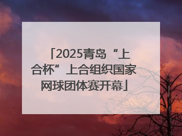 2025青岛“上合杯”上合组织国家网球团体赛开幕