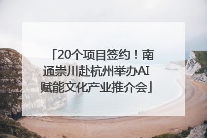 20个项目签约！南通崇川赴杭州举办AI赋能文化产业推介会
