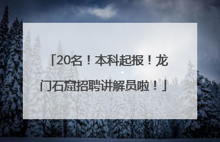 20名！本科起报！龙门石窟招聘讲解员啦！