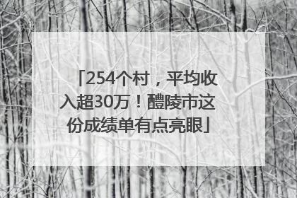 254个村，平均收入超30万！醴陵市这份成绩单有点亮眼
