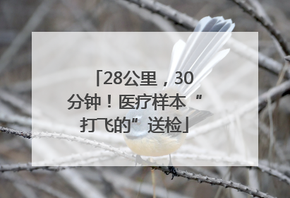 28公里，30分钟！医疗样本“打飞的”送检