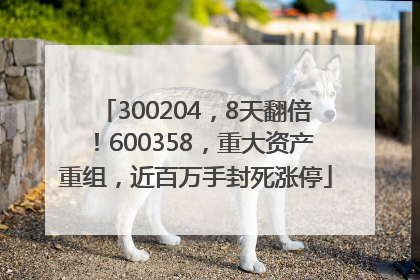 300204，8天翻倍！600358，重大资产重组，近百万手封死涨停